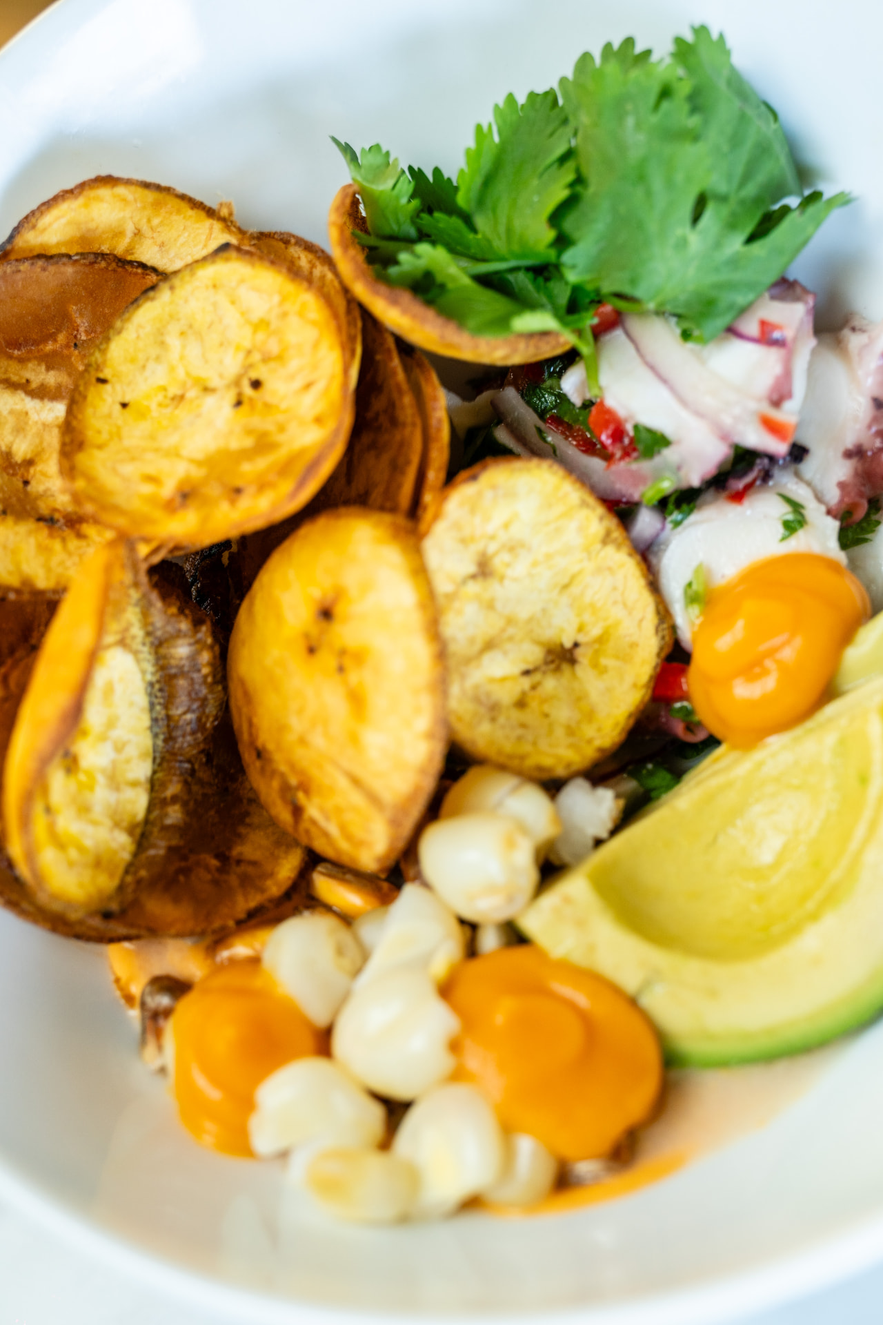 Close-up of octopus ceviche with avocado, cancha corn and plantain chips