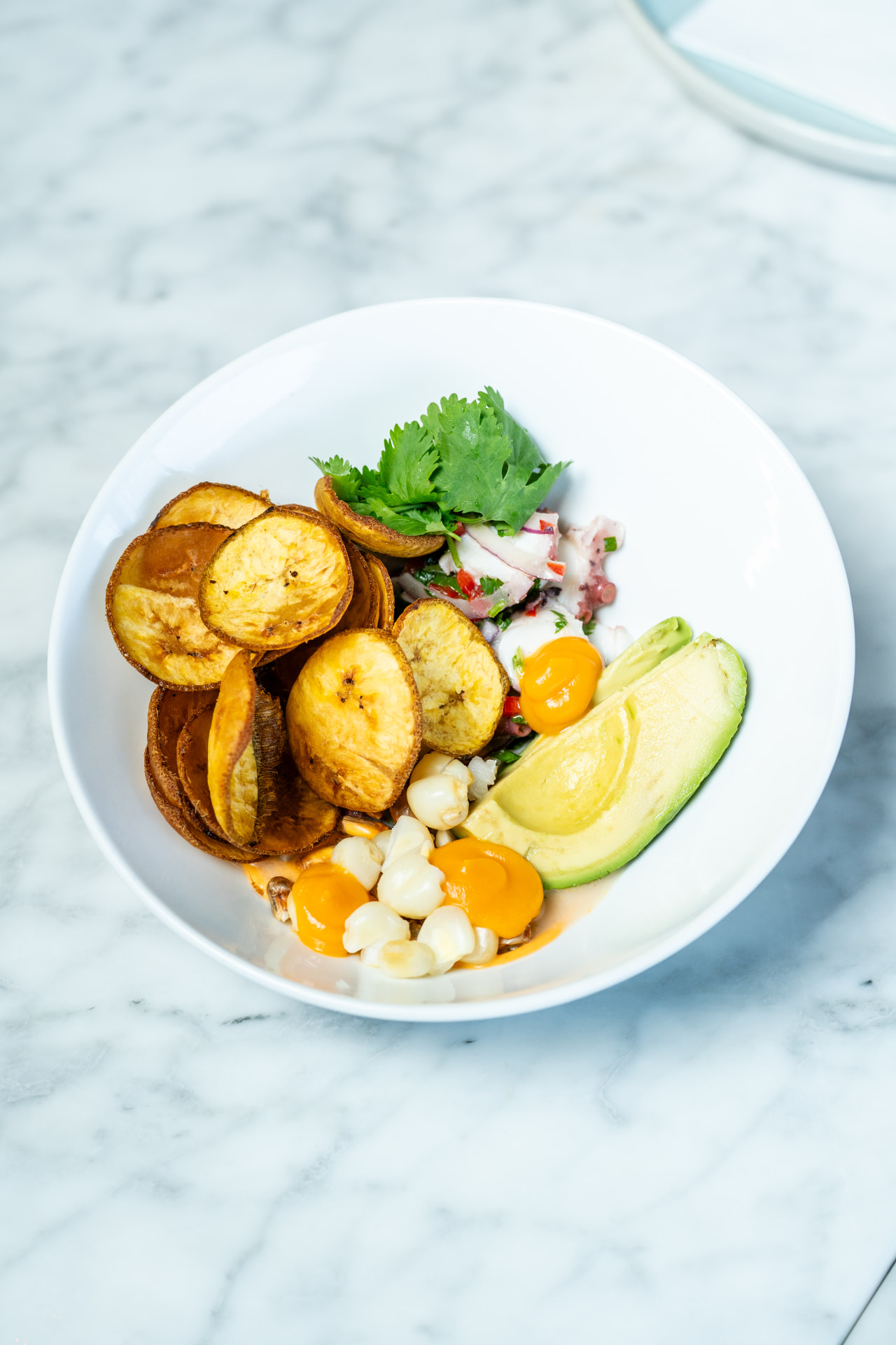 Octopus Ceviche